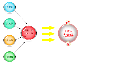 光触媒是什么?除甲醛效果如何